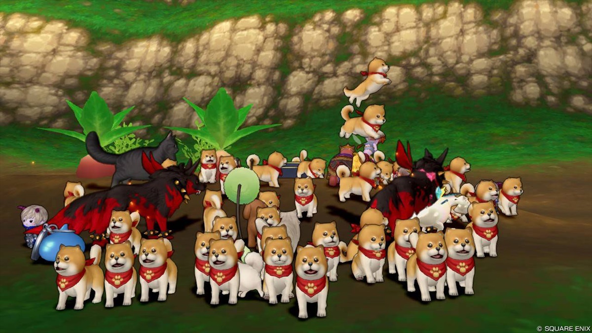 DQネクスト | VジャンプWEB＜公式＞