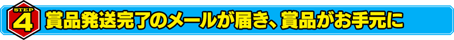 STEP4 賞品発送完了のメールが届き、賞品がお手元に